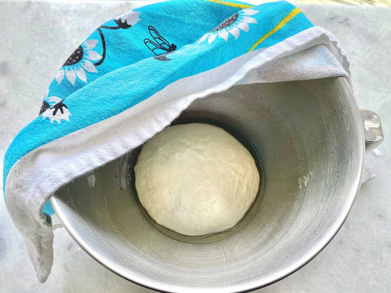 Ball of panini bread dough rising