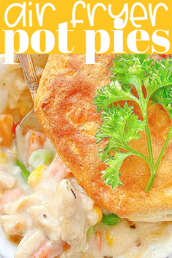 Air Fryer Pot Pie | Foodtastic Mom #airfryerrecipes #airfryerpotpie #potpierecipe #potpiewithbiscuits via @foodtasticmom