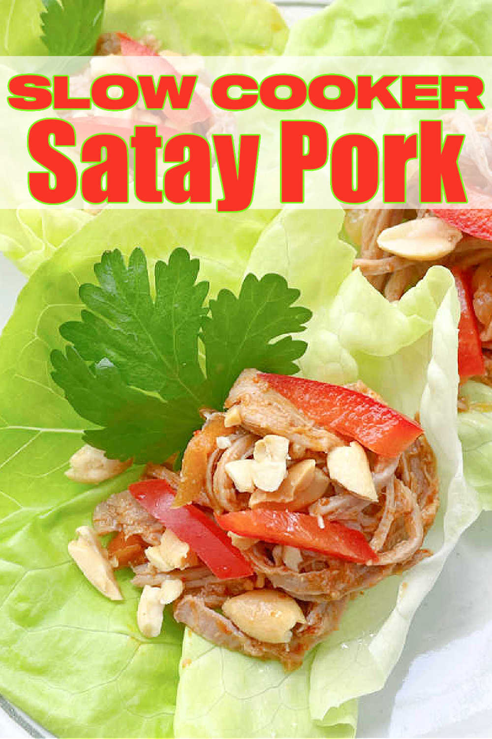 Slow Cooker Satay Pork | Foodtastic Mom #slowcookerrecipes #porkrecipes #porksatay #slowcookersataypork via @foodtasticmom