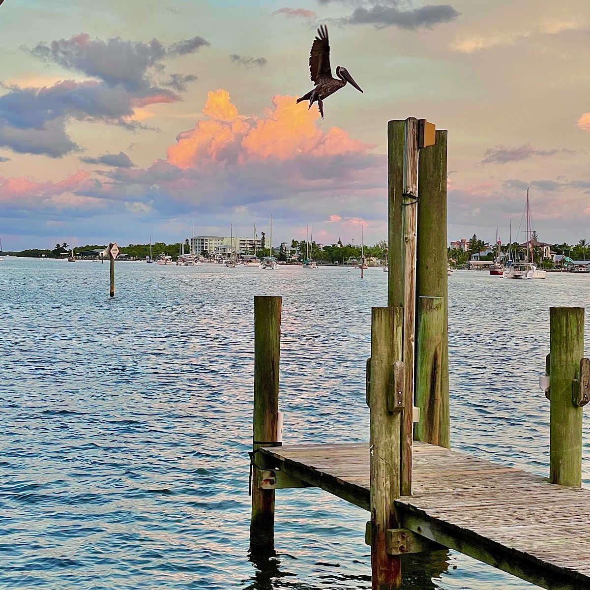 Things to Do in Fort Myers - Foodtastic Mom