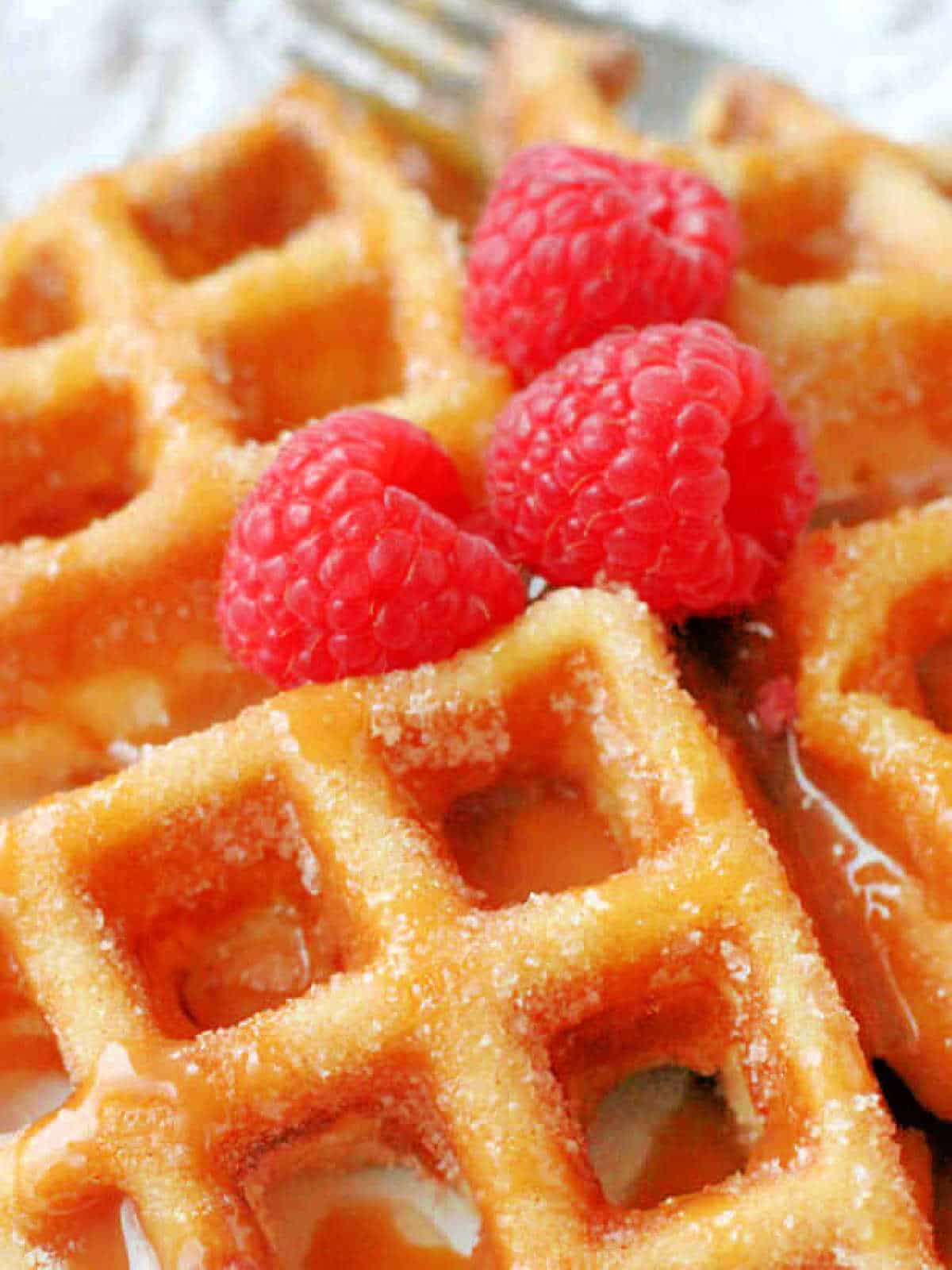 a close up photo of churro waffle with caramel sauce