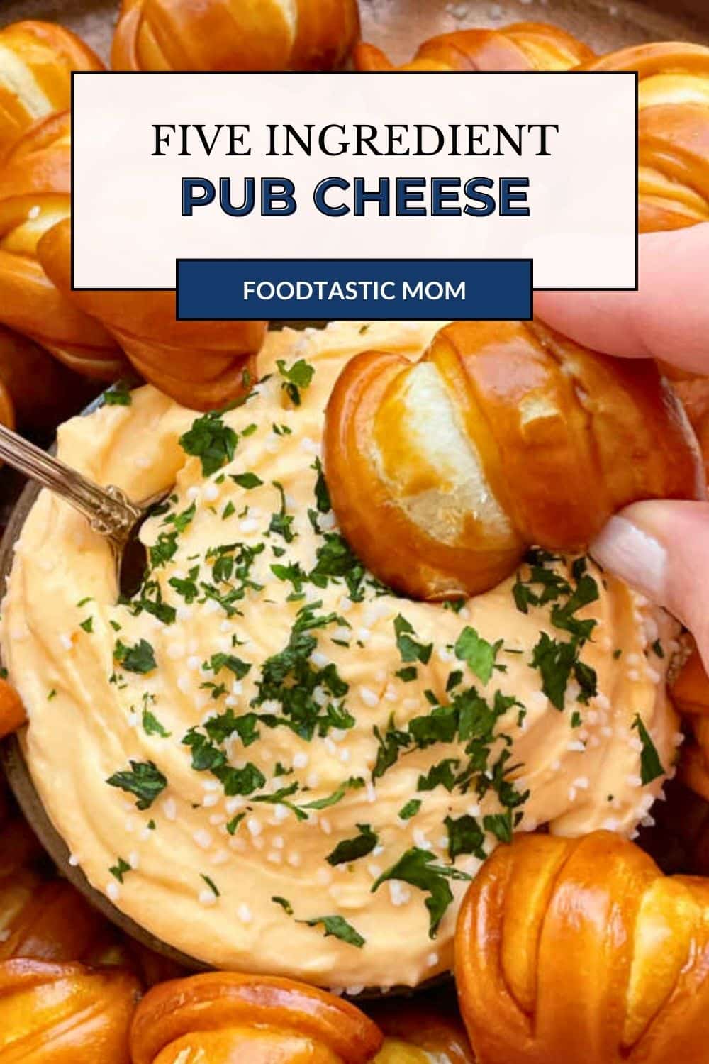 Creamy, spicy, tangy pub cheese is a recipe for addiction. One bite and you'll keep coming back for more of this easy to make dip. via @foodtasticmom