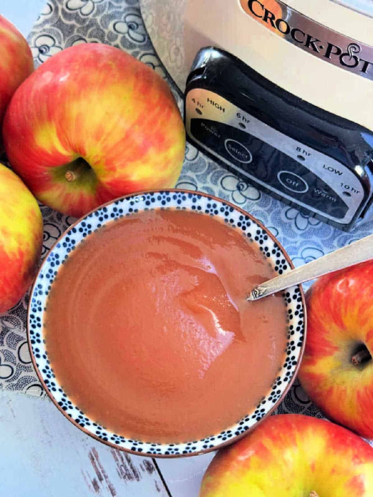 a small dish of applesauce setting in front of the crock pot and surrounded by five whole apples