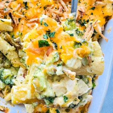 serving a spoonful of chicken broccoli pasta casserole from the baking dish