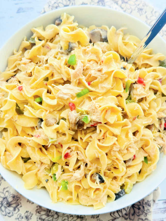 a big bowl full of egg noodles smothered in creamy chicken a la king sauce