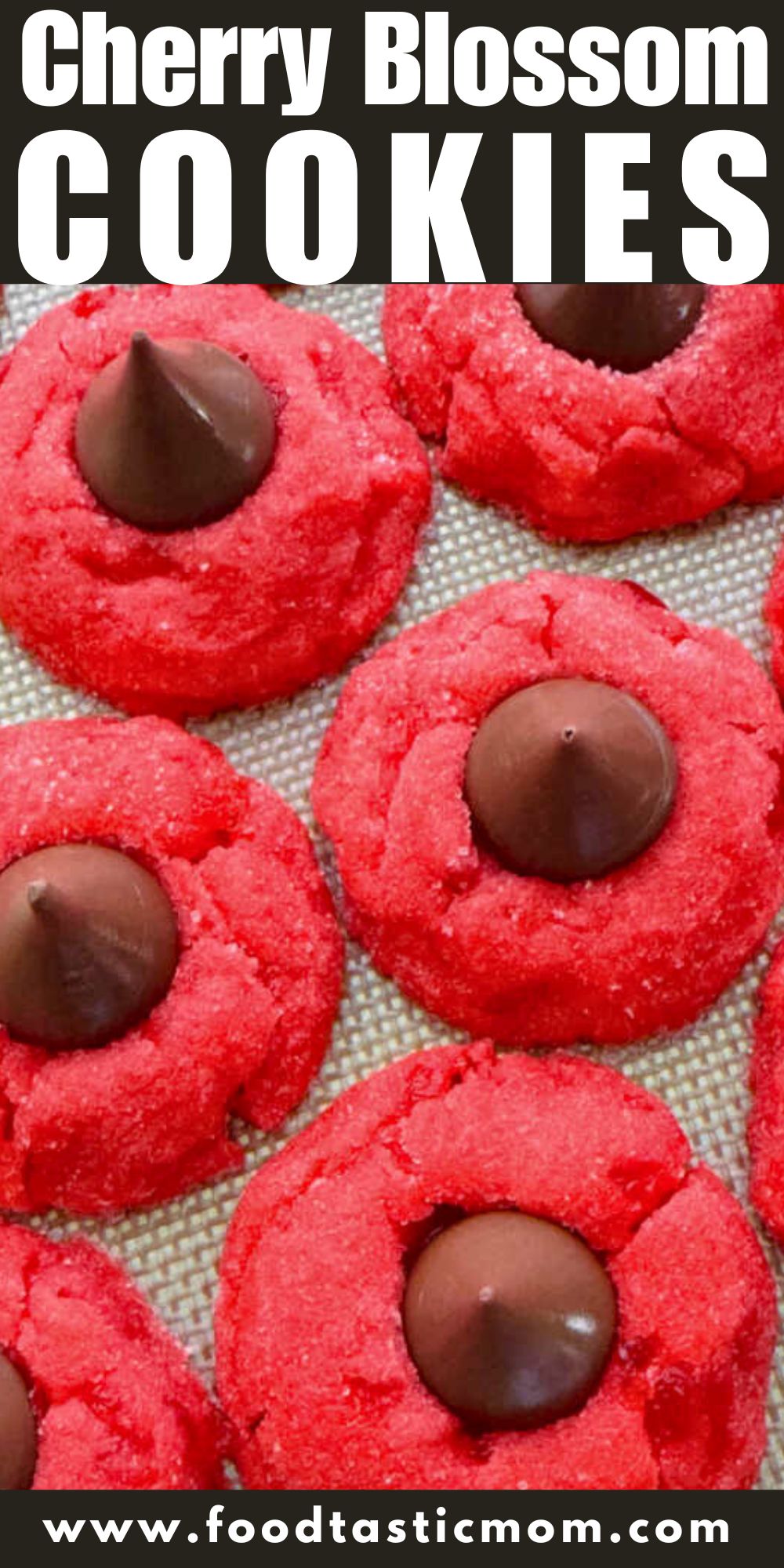 My mom's easy chocolate cherry blossom cookies recipe is a stunning favorite to add to cookie plates any time of year. via @foodtasticmom