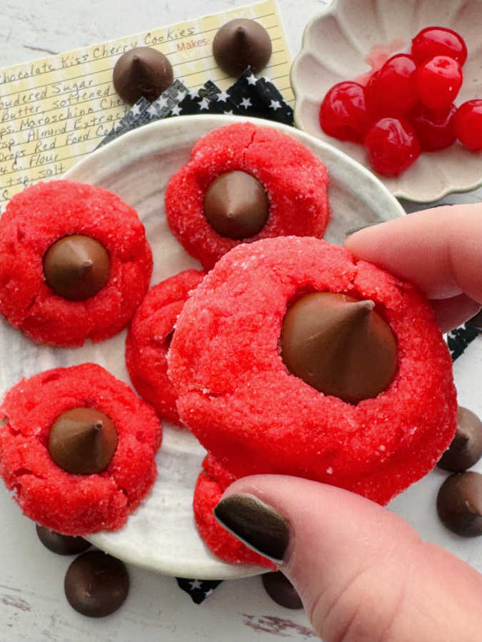 picking up a cherry blossom cookie from the plate to show it close up