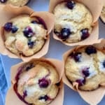 freshly baked protein blueberry muffins in the muffin pan