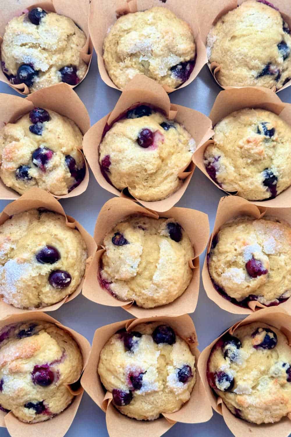 The best blueberry muffins made with whey protein and Greek yogurt are the perfect healthy breakfast to help meet your protein goals. via @foodtasticmom