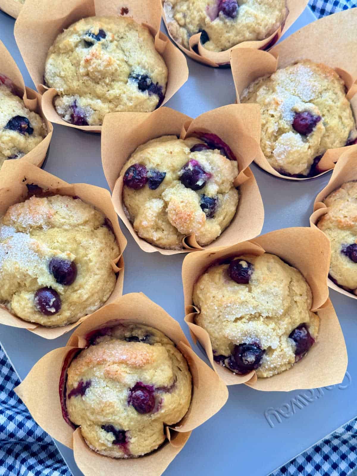 a pan of blueberry muffins resting on a blue and white gingham towel