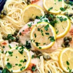 close up of chicken breasts topped with lemon slices and parsley atop a bed of pasta with creamy piccata sauce