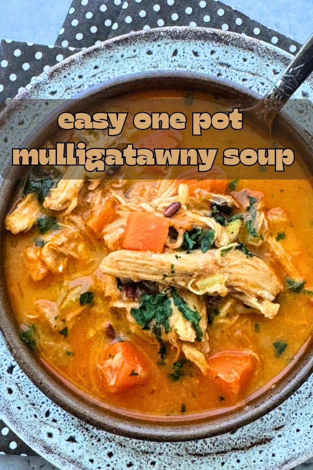 My version of mulligatawny soup includes all the flavors of the original with a few shortcuts. It is quick comfort food. via @foodtasticmom