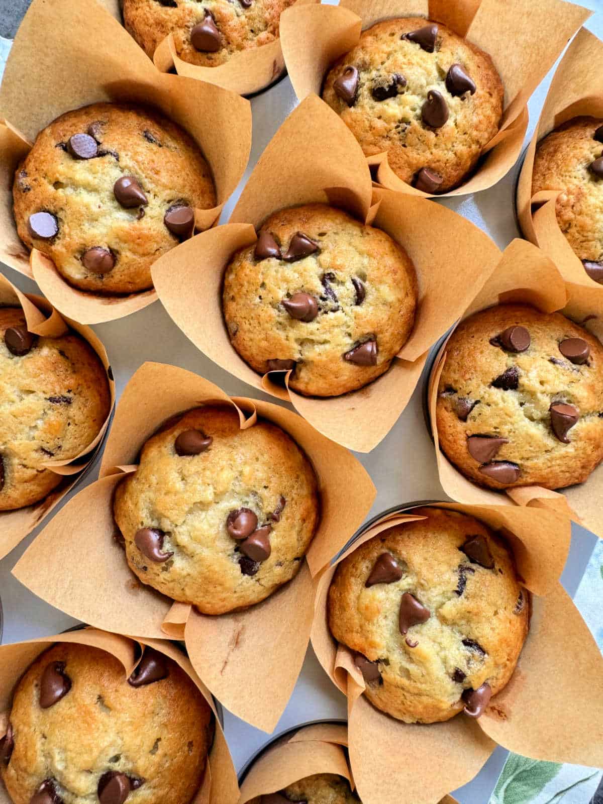 freshly baked banana chocolate chip muffins in the muffin tin