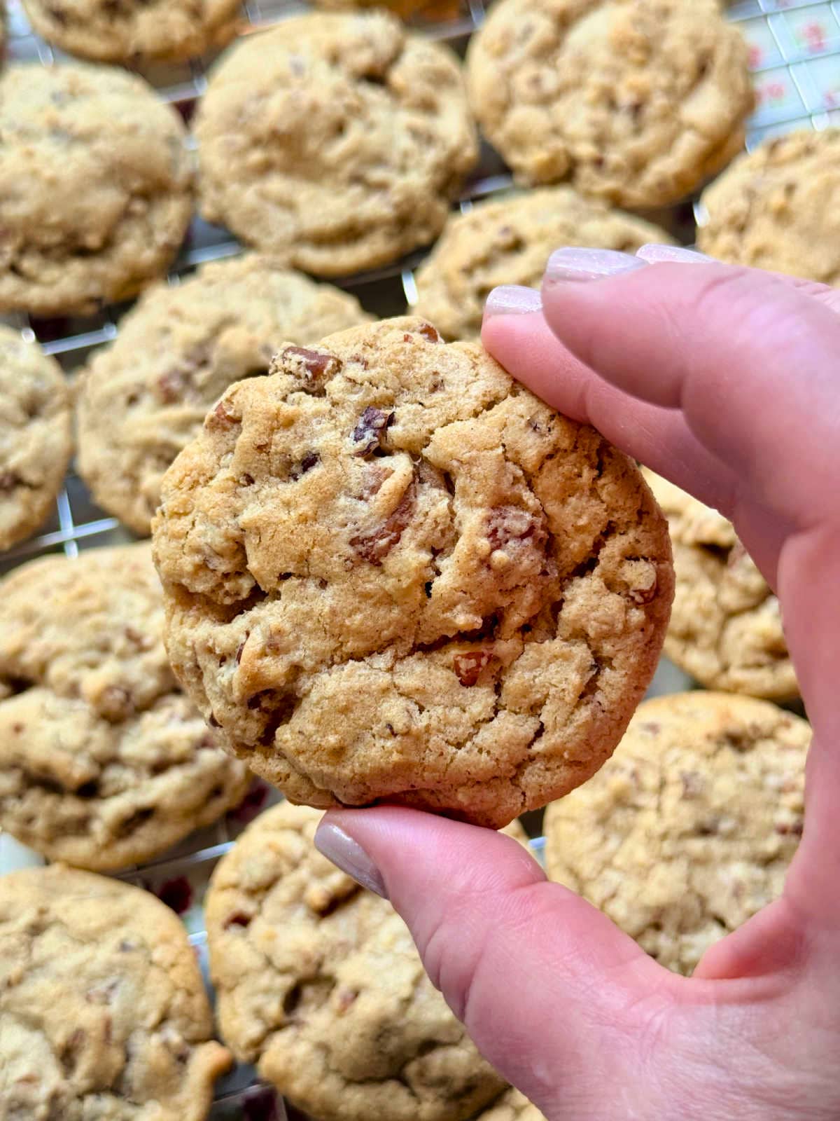 holding a freshly baked butter pecan cookie in my hand to show the detail