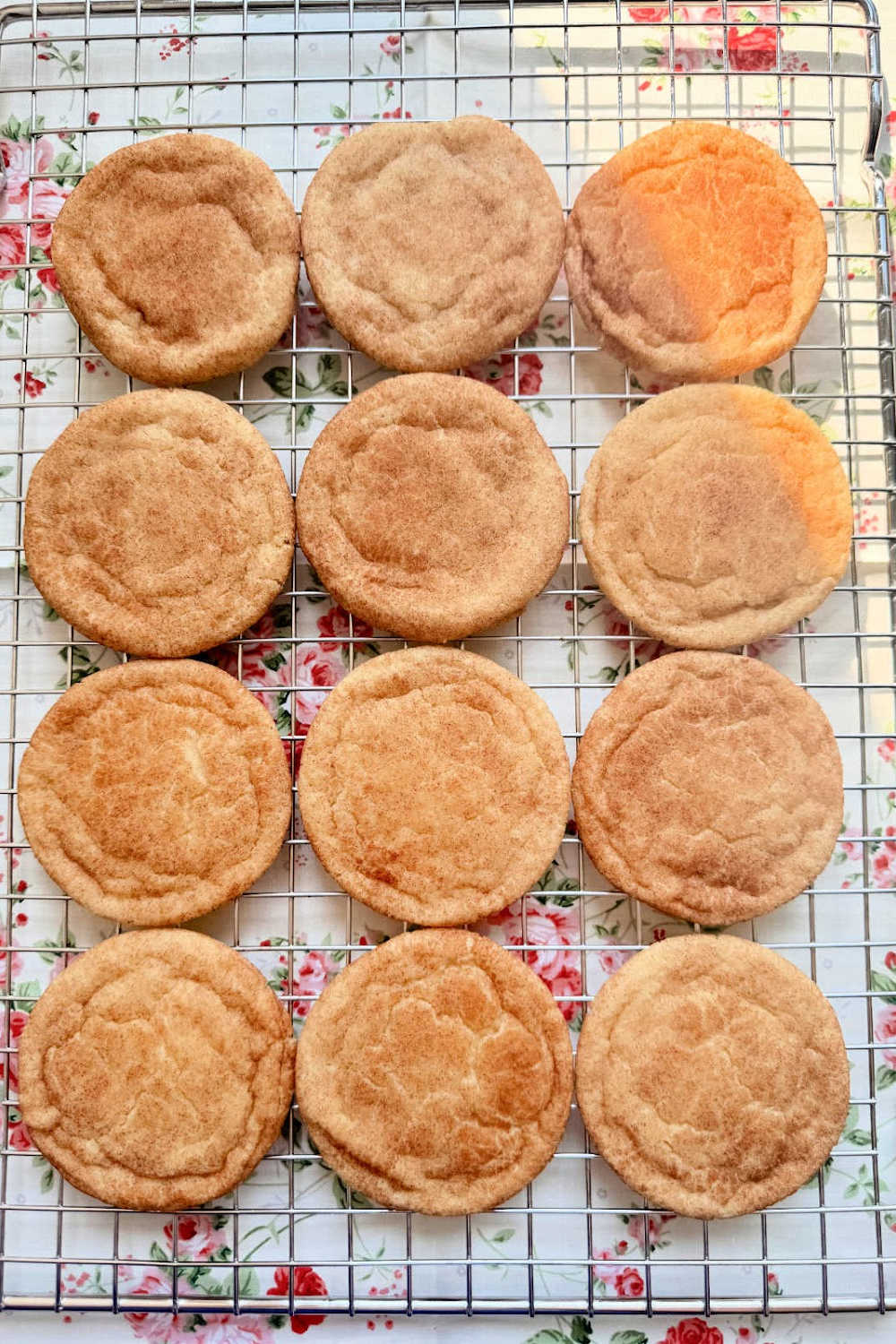 This is my Grandma's snickerdoodles cookie recipe that I grew up with. They are soft and chewy in the center and kissed with cinnamon sugar. via @foodtasticmom