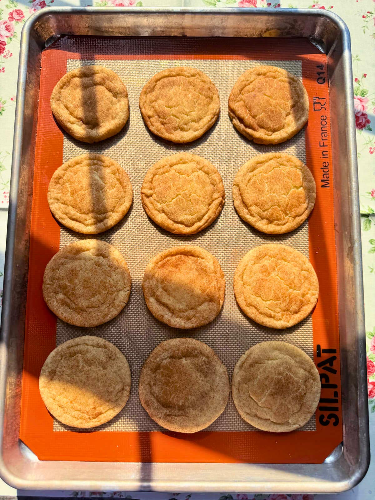 a tray full of one dozen snickerdoodles