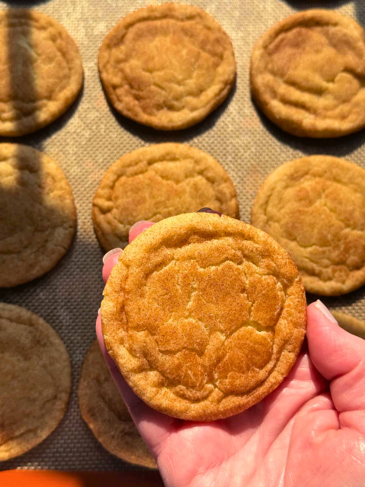 holding a freshly baked snickerdoodle in my hand