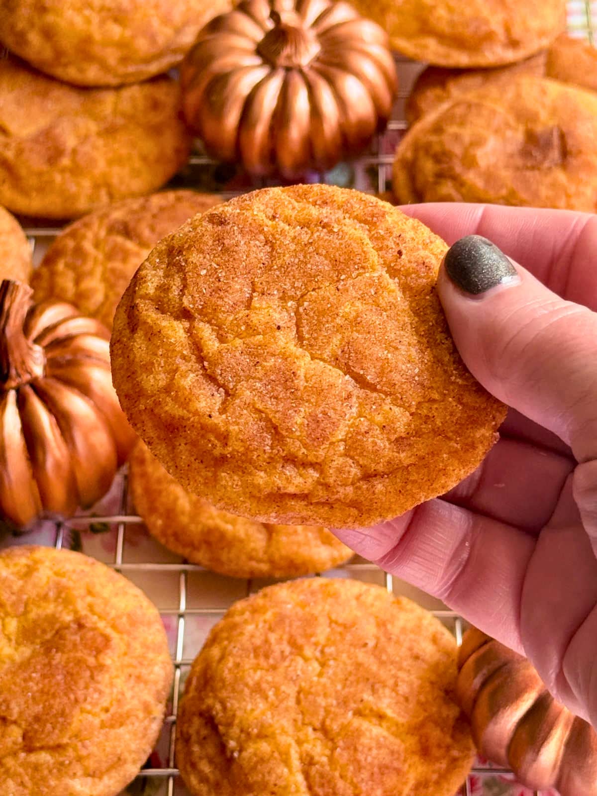 holding a pumpkin spice cookie in my hand